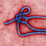 Ebola Has The Potential To Be Airborne