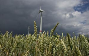 Off-grid German village banks on wind, sun, pig manure