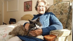 Cat Tracks Down Elderly Owner