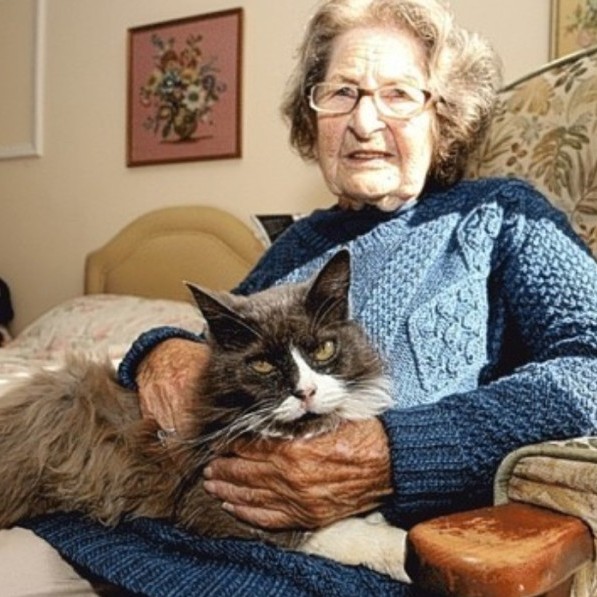 Cat Tracks Down Elderly Owner