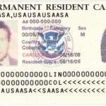 New Immigrant IDs