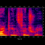 Voiceprints Being Harvested by the Millions