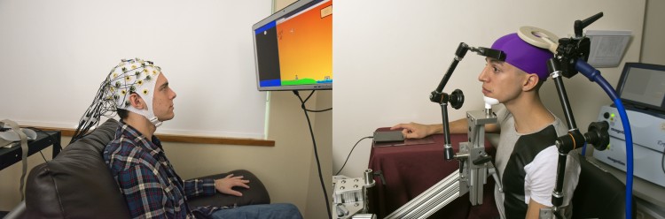 An example of how the brain to brain interface demonstration would look.