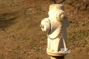 Drought Turns East Bay City Into Wild, Wild West With Thieves Stealing Precious Water