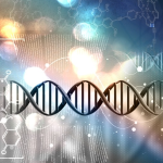 Frequency, DNA and The Human Body