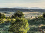 How to Finance Buying Land: Should We Go into Debt?