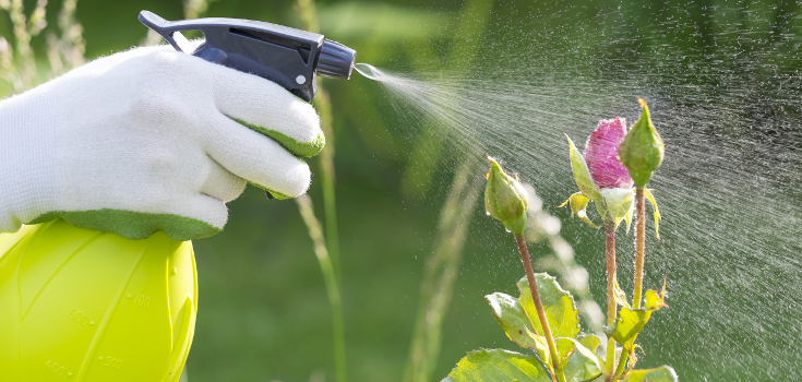 ‘Harmless Herbicide’ to Compete with Monsanto’s RoundUp
