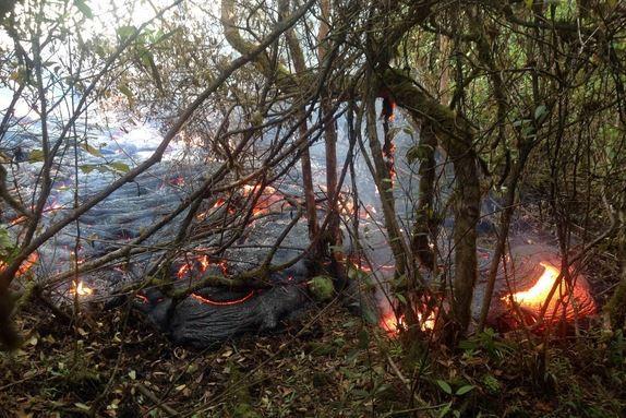 Hawaii Lava Flow: Pahoa Businesses Prepare for Possible Evacuations