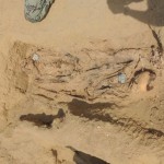 Estimated 1M mummified bodies found in Egyptian necropolis, some 7ft tall