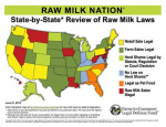 Making Clean Raw Milk: A Simple Guide for Small-Scale Dairies