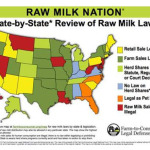 Making Clean Raw Milk: A Simple Guide for Small-Scale Dairies