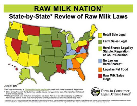 Making Clean Raw Milk: A Simple Guide