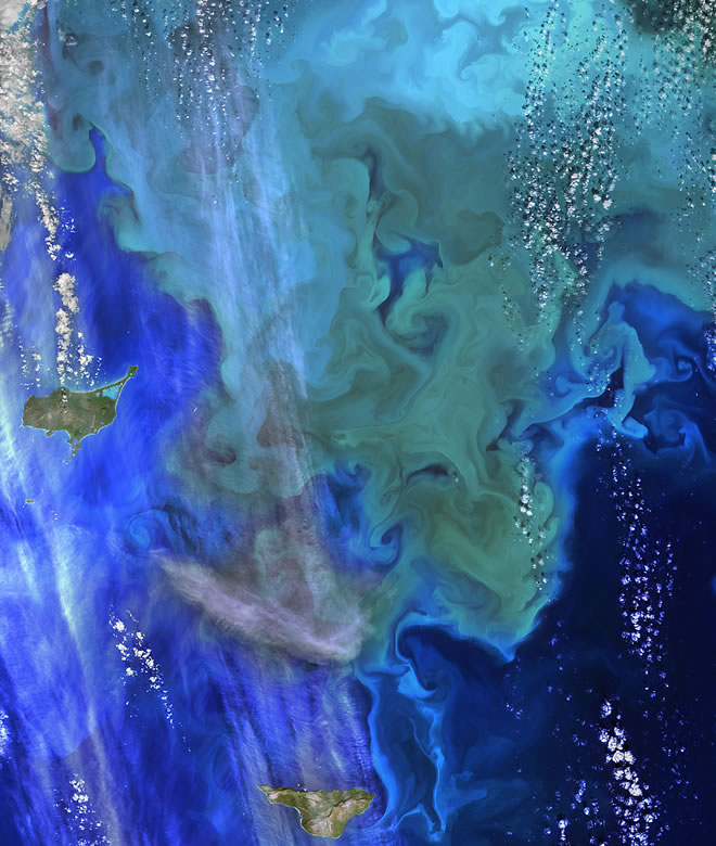 Coloring the Sea Around the Pribilof Islands