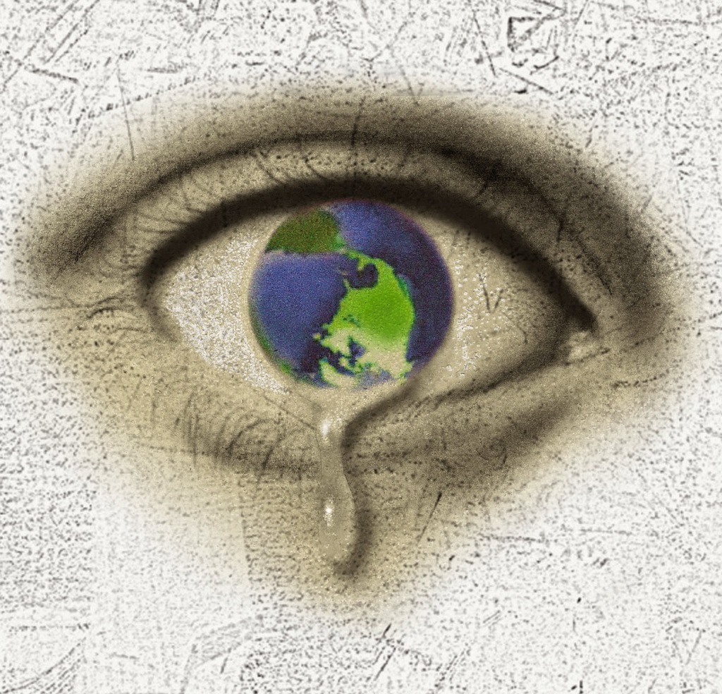 What's to Blame for Our Dying Planet - Freda 2012