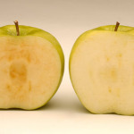 USDA Approves World's First GMO Apples