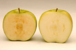 USDA Approves World’s First GMO Apples
