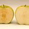 USDA Approves World’s First GMO Apples