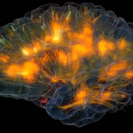 DARPA's 'Cortical Modem' Will Plug Straight Into Your BRAIN