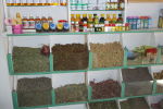 Investigation: Many Herbal Supplements Found to Contain ZERO Herbs