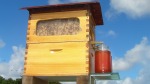 Beekeepers Dream: A Better Way To Harvest Honey From Beehives