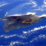Island of Hawaii From the International Space Station