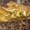Lucky Aussie Prospector finds Massive 2kg Gold Nugget